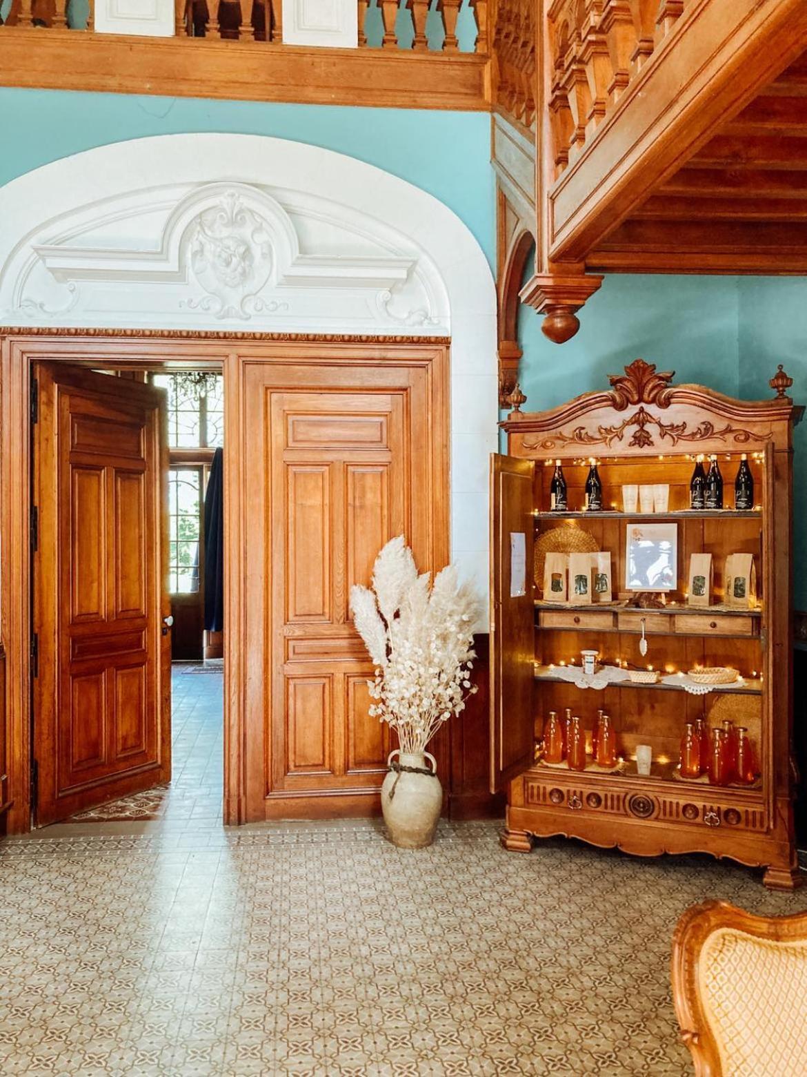 Chateau Du Guerinet Saint-Priest-Bramefant Екстер'єр фото